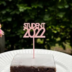 Caketoppers STUDENT 2022 pink frosted akryl