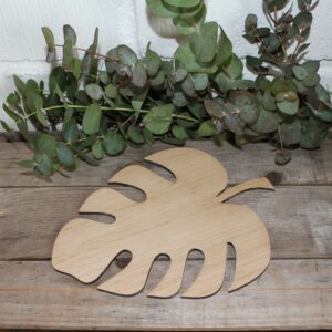 Monstera blad stort eg