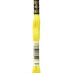 307 DMC Mouliné Broderigarn