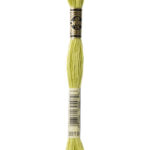 3819 DMC Mouliné Broderigarn