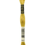 3820 DMC Mouliné Broderigarn