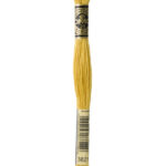 3821 DMC Mouliné Broderigarn