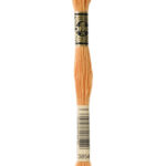 3854 DMC Mouliné Broderigarn
