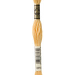 3855 DMC Mouliné Broderigarn