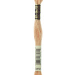 3856 DMC Mouliné Broderigarn