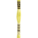 011 DMC Mouliné Broderigarn