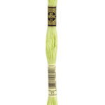 015 DMC Mouliné Broderigarn
