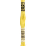 017 DMC Mouliné Broderigarn