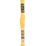 019 DMC Mouliné Broderigarn