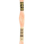 020 DMC Mouliné Broderigarn